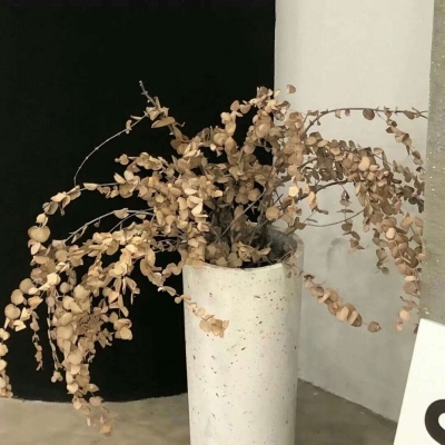 Furry绘画光影技巧FurryQQ群